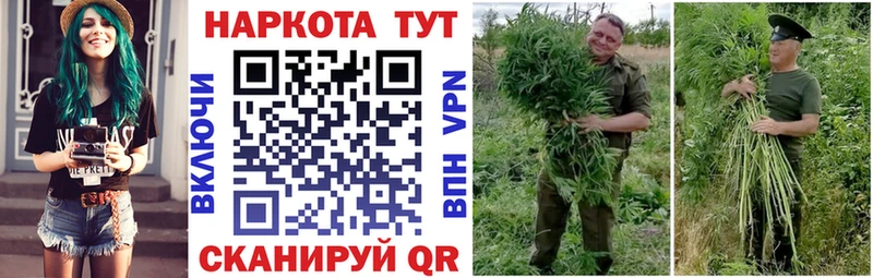 Как найти наркотики Томск МАРИХУАНА СК МЕФ